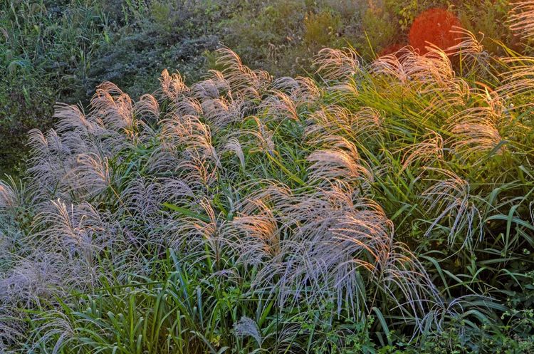 金秋沂南,诗意流淌有那么一群爱美的人,把秋季沂南送到你面前