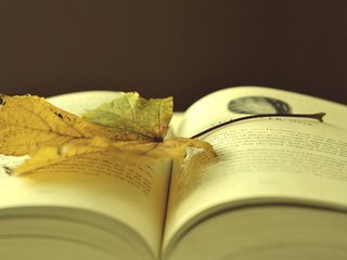 语文月考怎样才能超常发挥,语文月考如何考高分