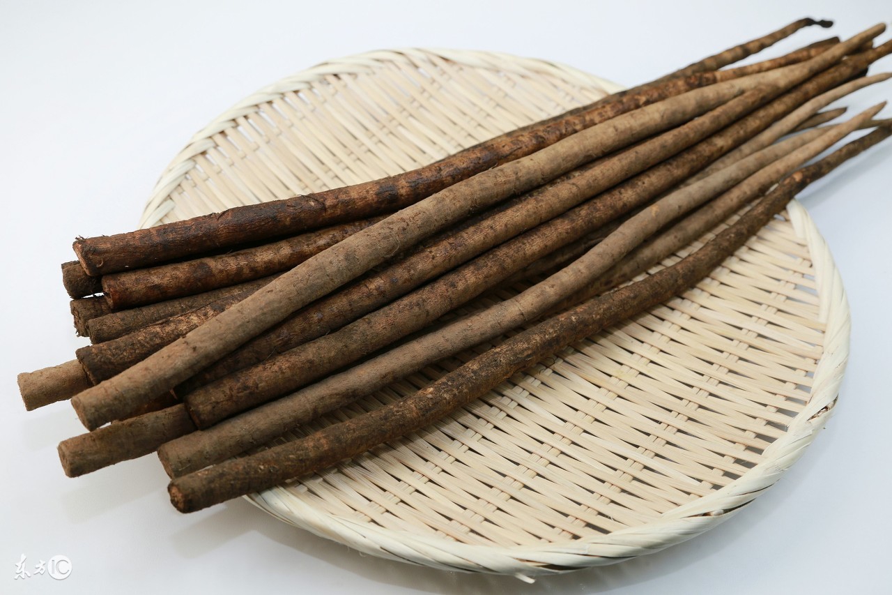 牛蒡的药用价值及功效,牛蒡的药用价值及功效是什么