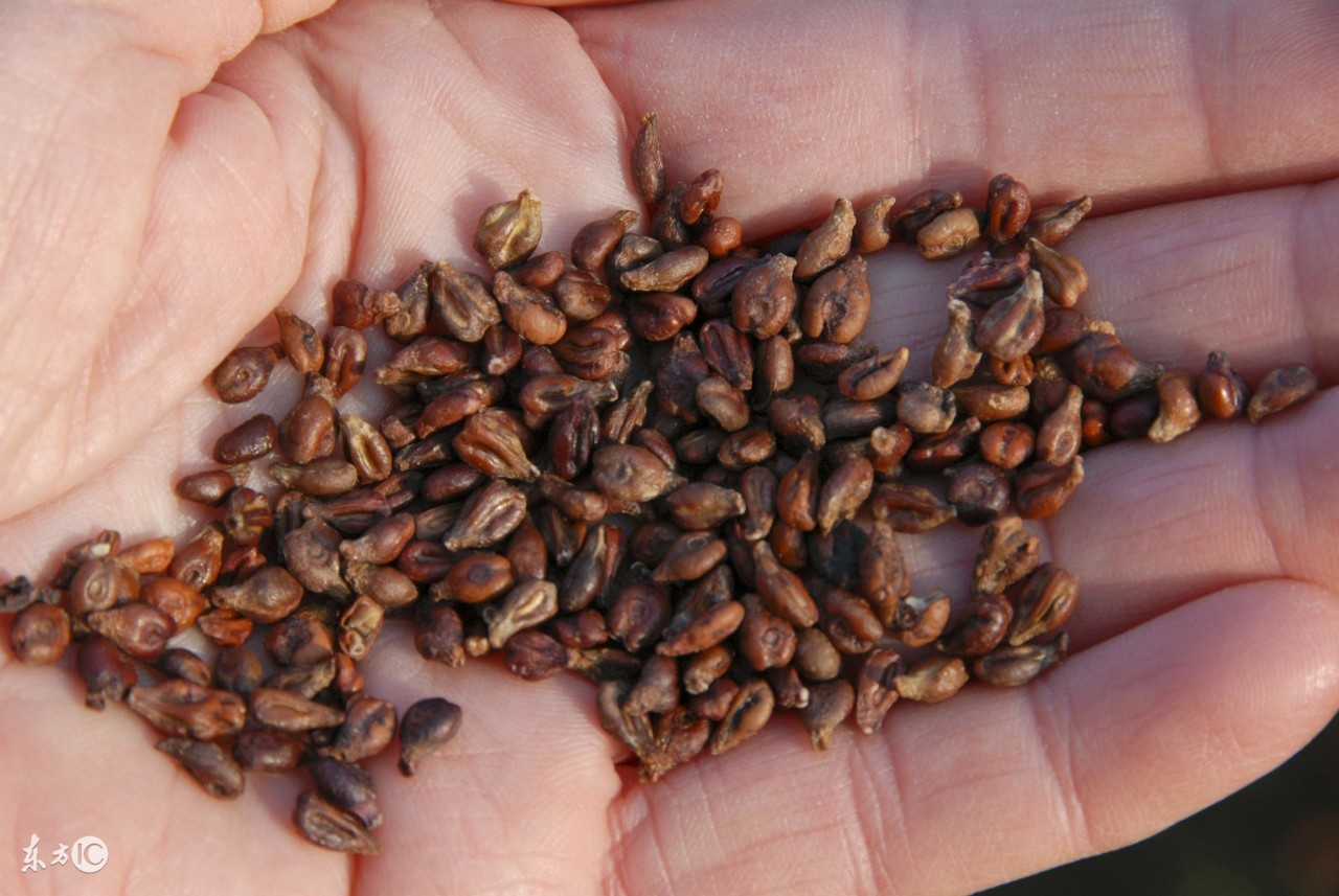 冬天皮肤老的快，养成这个小习惯，胜过1000元的精华液