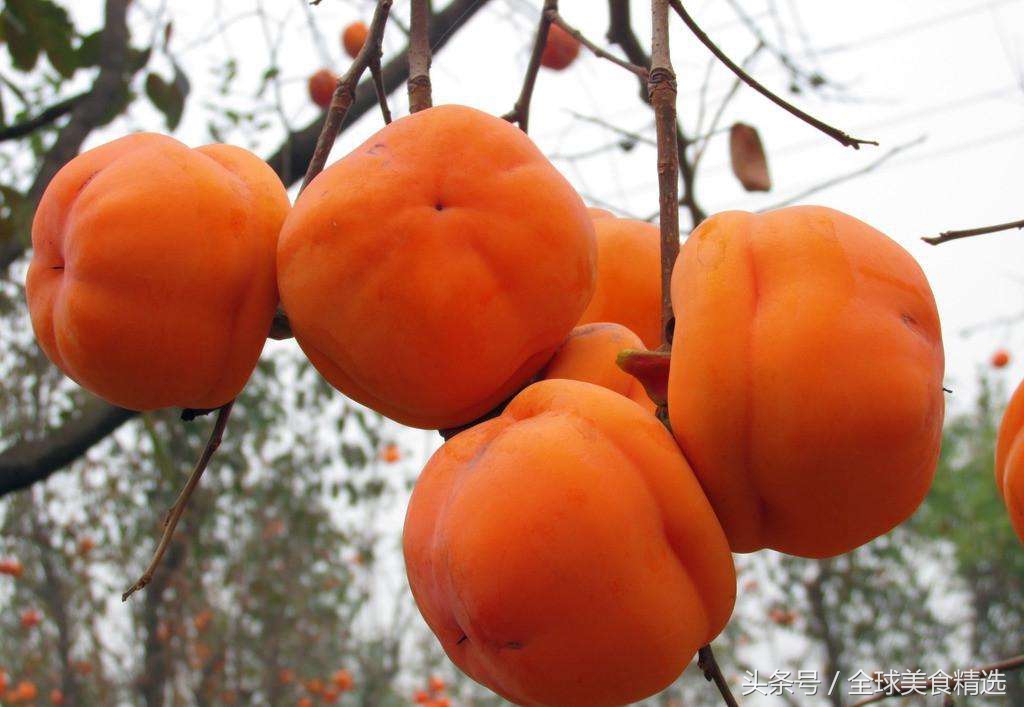 哪些食物相克吃了会危及生命,什么水果一起吃会有生命危险