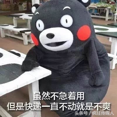 双十一快递最实用,双十一催快递