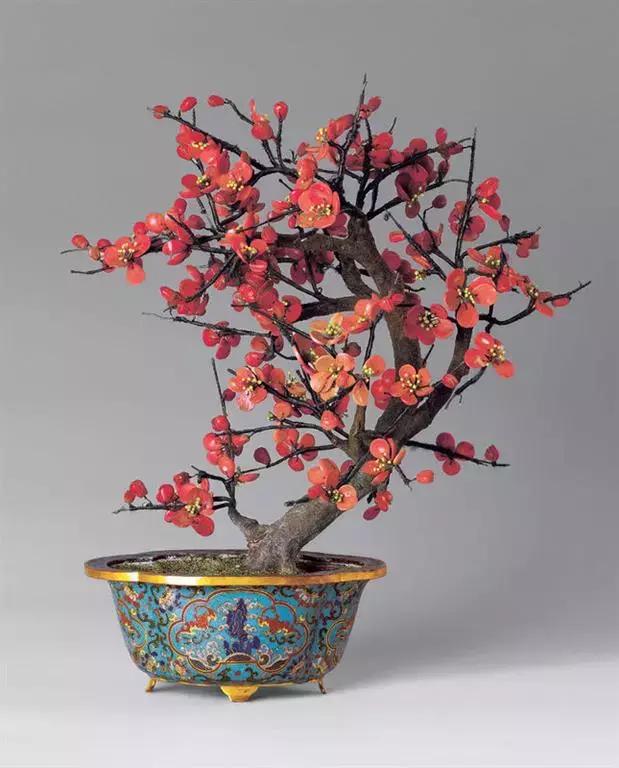 十大最香花卉,十大流行花卉排行榜