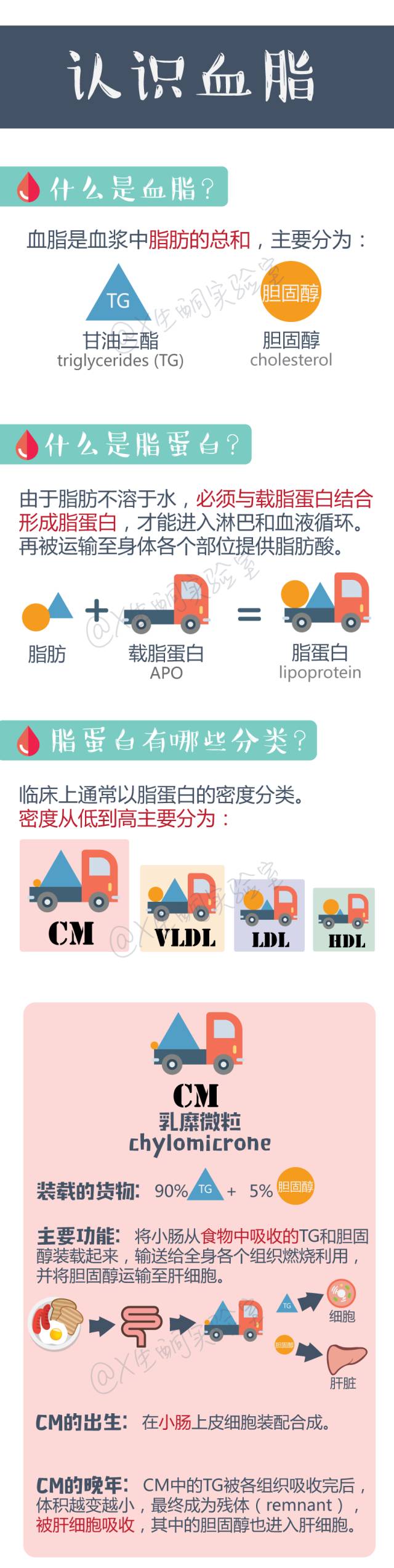 拿什么拯救你我的灵魂,拿什么拯救你的智商