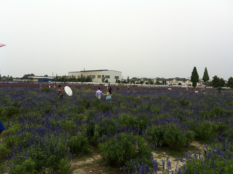 郫都区附近的农家乐和休闲农庄,郫都妈妈农庄照片