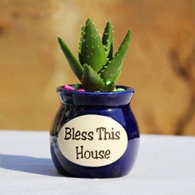 怎样才能知道屋里有甲醇,家里如何自测甲醛