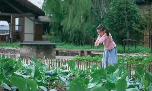 乌村生态园,乌山农家乐和休闲农庄