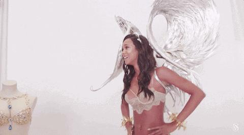 维多利亚的秘密维密秀,维密秀的惊人秘密