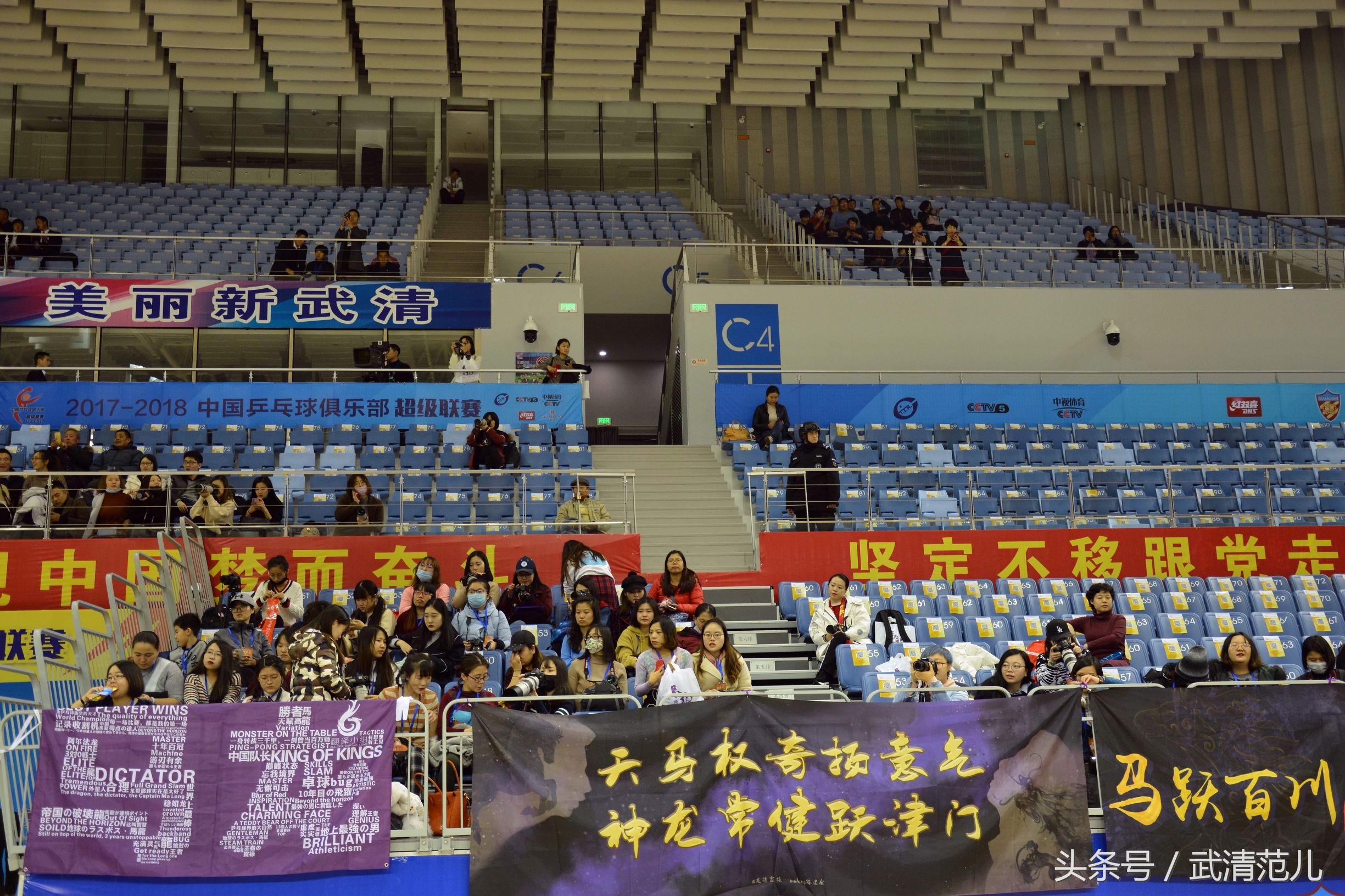 马龙亮相权健,马龙天津权健主场