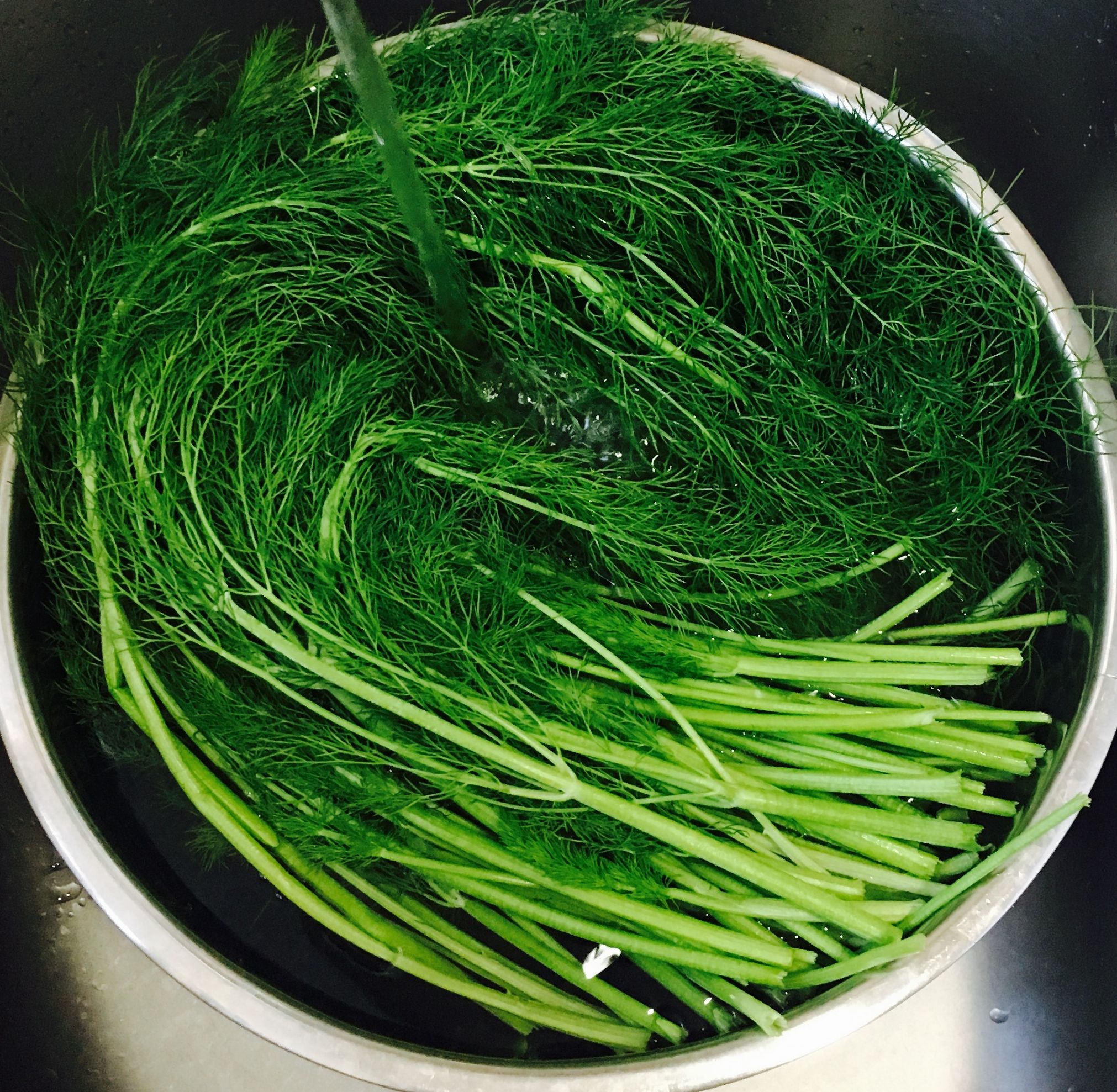 茴香馅饺子的做法步骤,茴香饺子馅儿怎么调最好吃