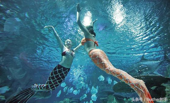 北京海洋馆和上海海昌海洋馆,北京海洋馆中华鲟馆