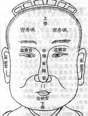 真正的神仙魏晋篇,真正的神仙世界魏晋篇