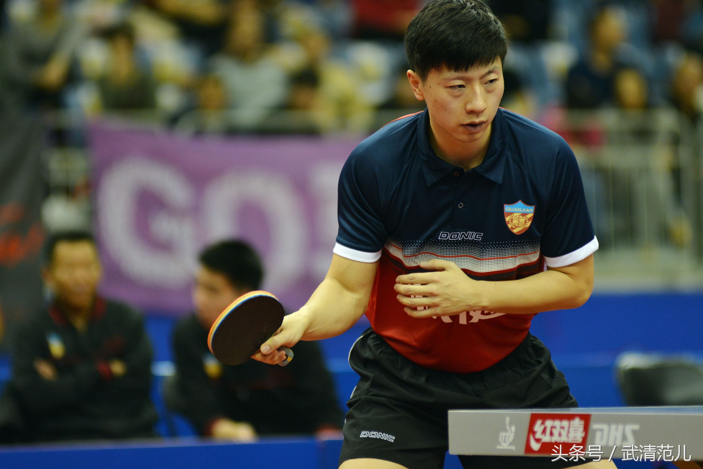 马龙亮相权健,马龙天津权健主场