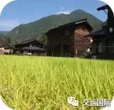 日本千叶是县吗,日本千叶县在哪里