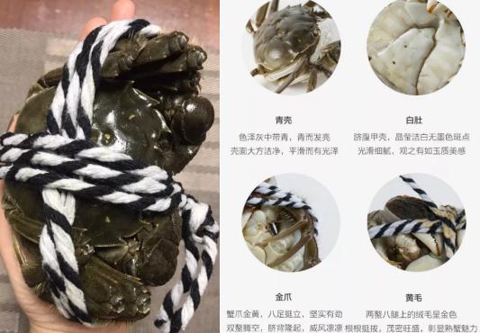 网购大闸蟹怎么吃,网购的大闸蟹应该放哪里