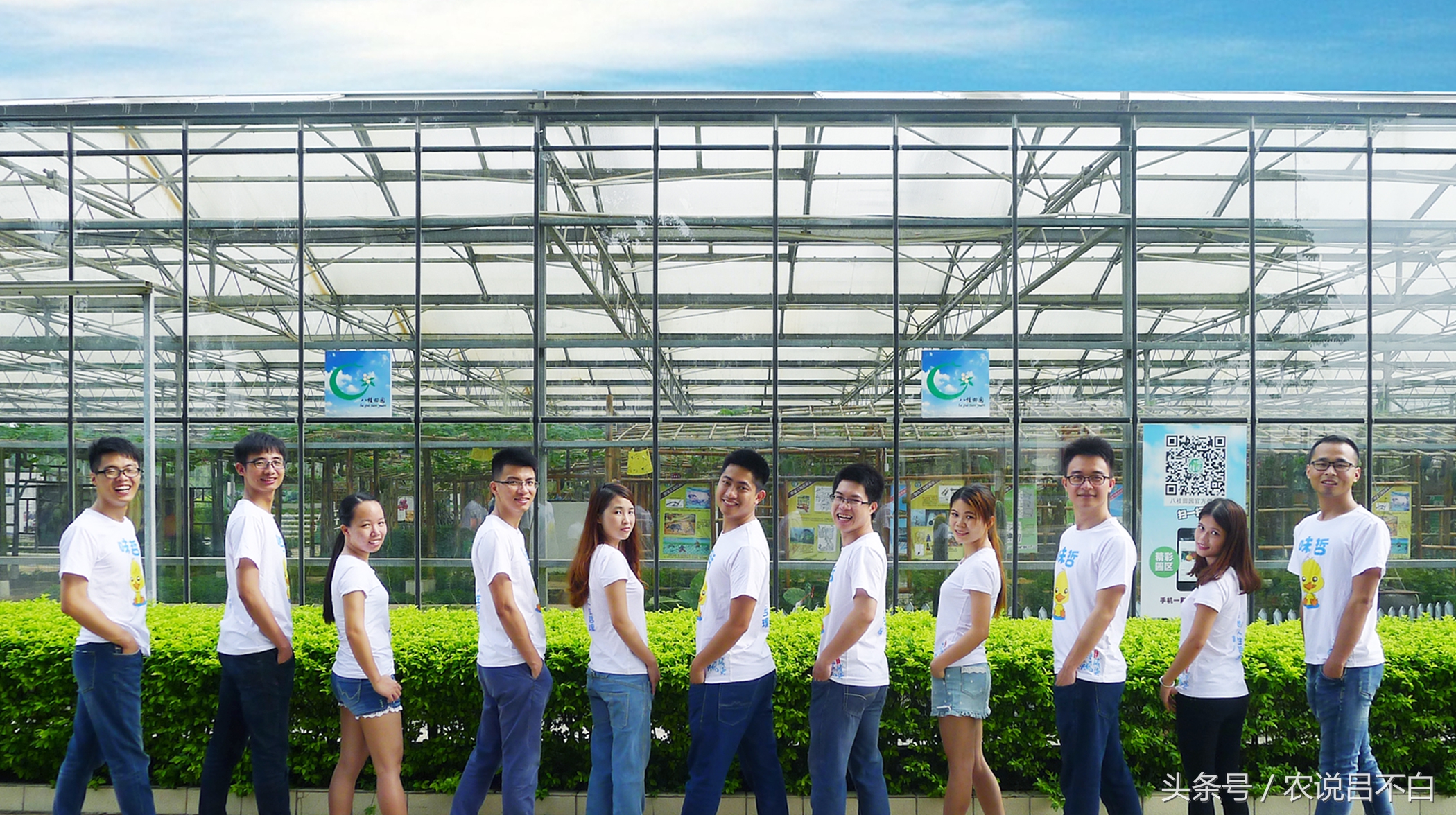 90后创业卖蛋,90后创业红树林海鸭蛋