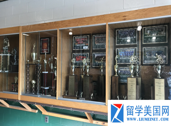 17年美高,美高17