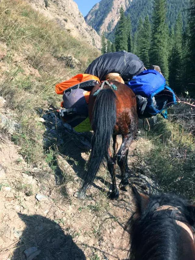 拜城乌孙古道的天堂湖怎么去,新疆特克斯县乌孙古道天堂湖
