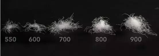 冬季挑选羽绒服的雷区,避坑指南羽绒服