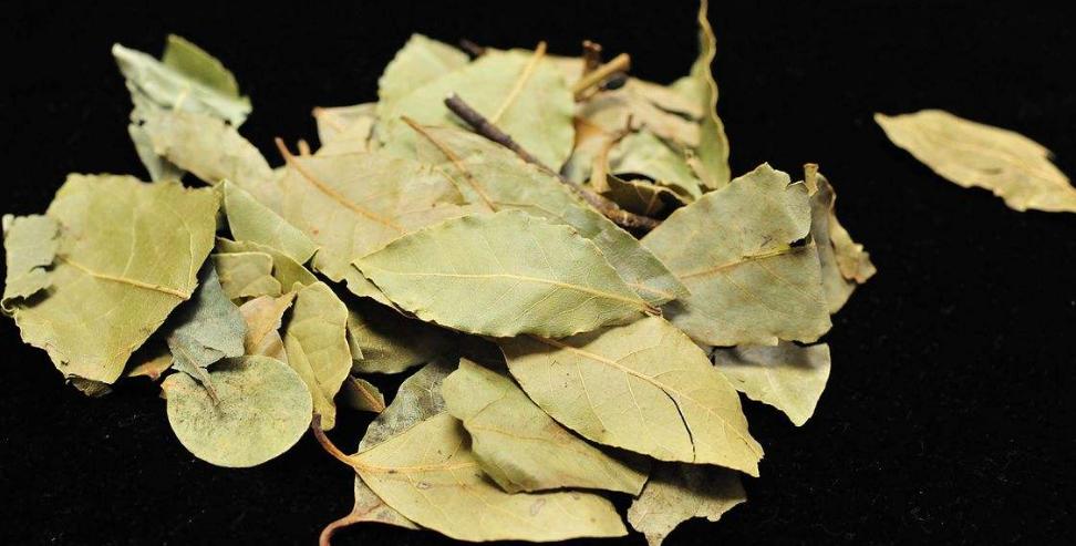 哪些香料可以锁住卤菜的香味,卤菜除异味最好的香料