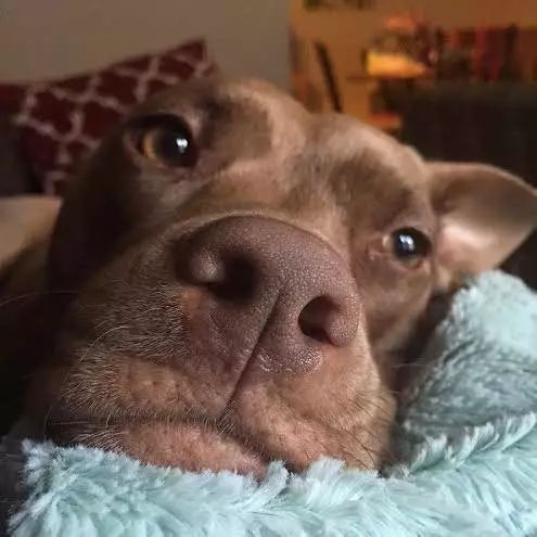 韩国体育精神冬奥会,韩国队的体育精神有多强