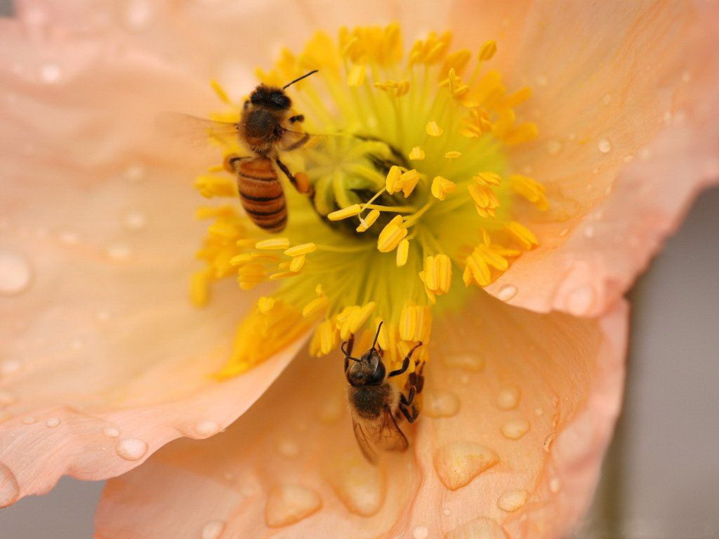 治疗鼻炎流清鼻涕最好办法,止鼻炎流清鼻涕中医小妙招