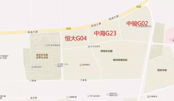 房价比地价还低！12500元/㎡的禄口限价盘今天被投资客团团包围