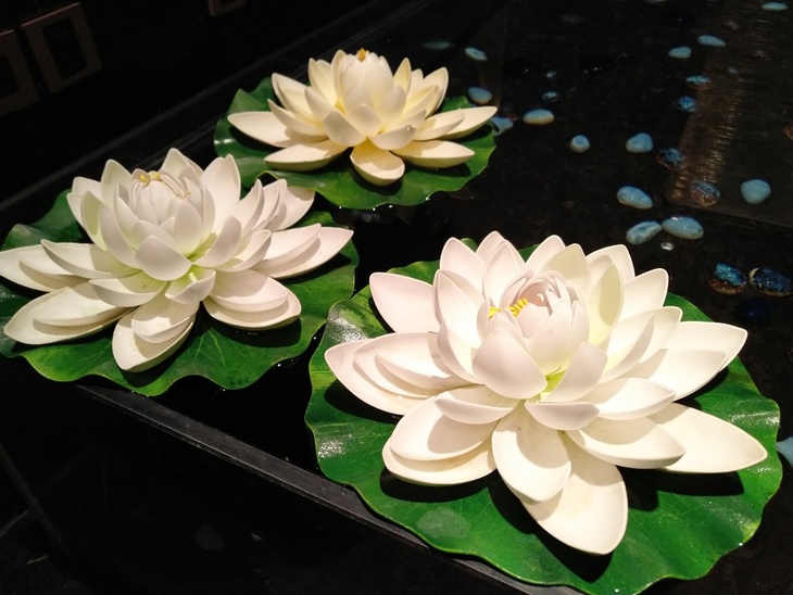 史上最均衡的锤子手机坚果Pro2评测