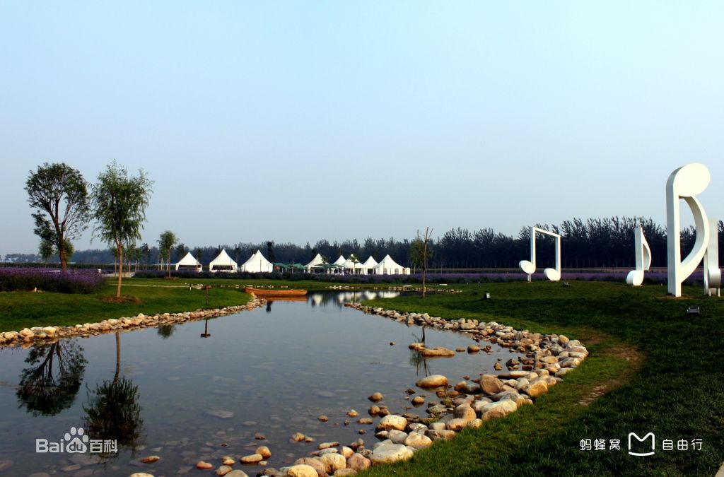 蓝调薰衣草庄园门票,蓝调薰衣草庄园月季花