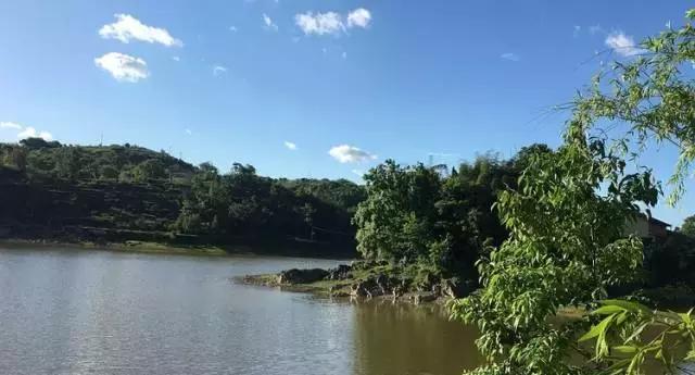 重庆高山避暑垂钓,周末自驾烧烤好去处