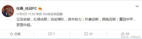 合肥桂冠球队老板桂鑫,桂鑫安徽桂冠