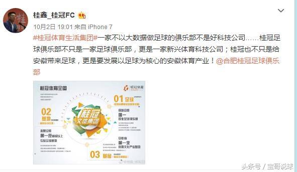合肥桂冠球队老板桂鑫,桂鑫安徽桂冠