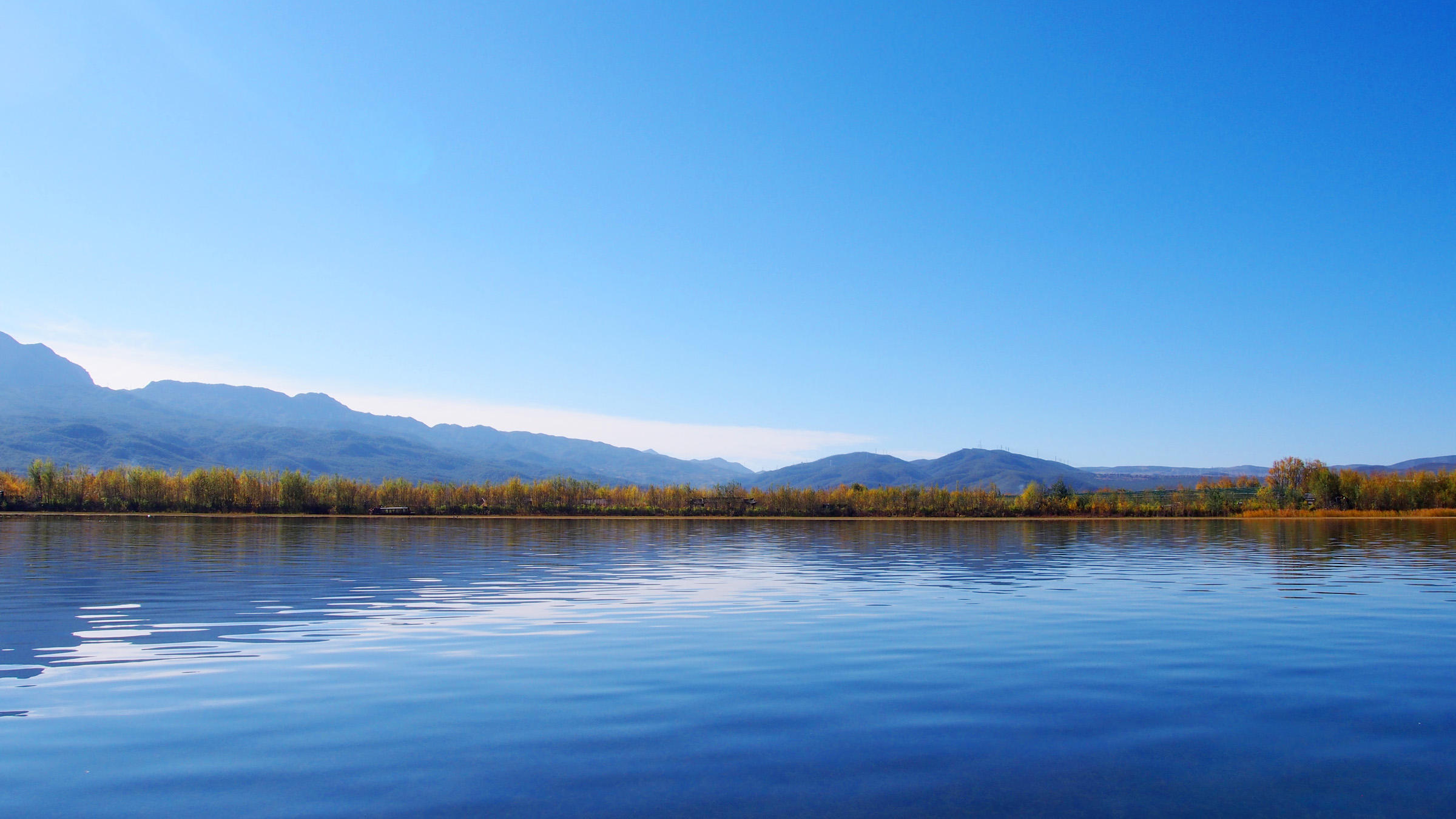 水至清则无鱼游泳,水至清则无鱼但是还是有很多鱼