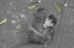 唇膏优惠团购,唇膏包邮1元