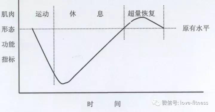 一周七次只练一个部位好吗,一个部位一周练三次怎么样
