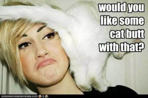 武汉市联合宠物医院怎么样,武汉联合动物医院养宠物