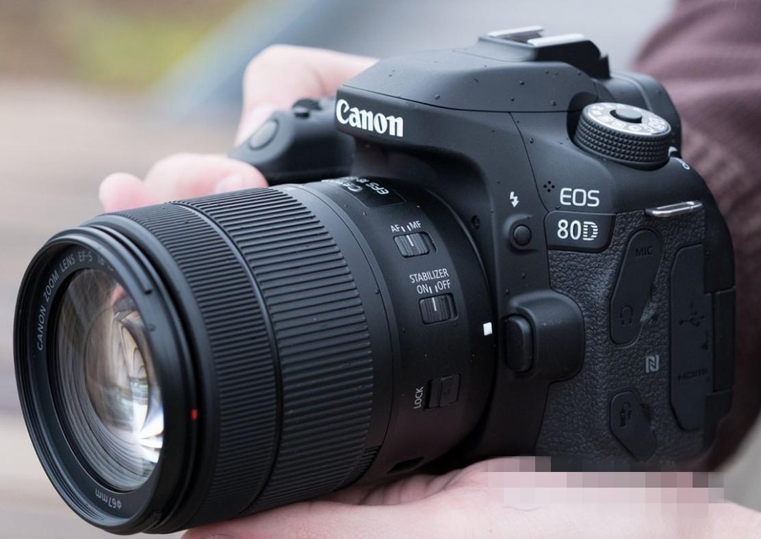 佳能单反EOS80D怎么样,佳能相机80d和800d哪个好