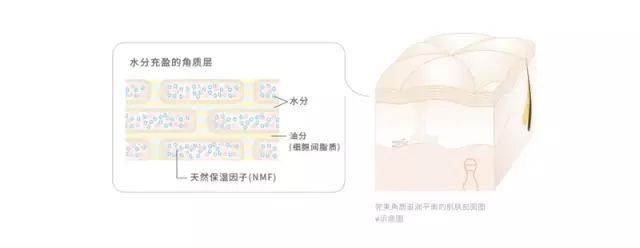 澳尔滨健康水有几个系列,albion奥尔滨健康水好用吗