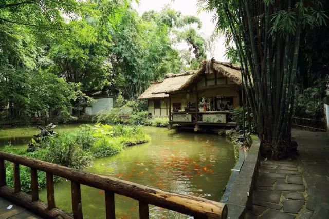 成都有什么好玩的东西,成都到底有多好玩