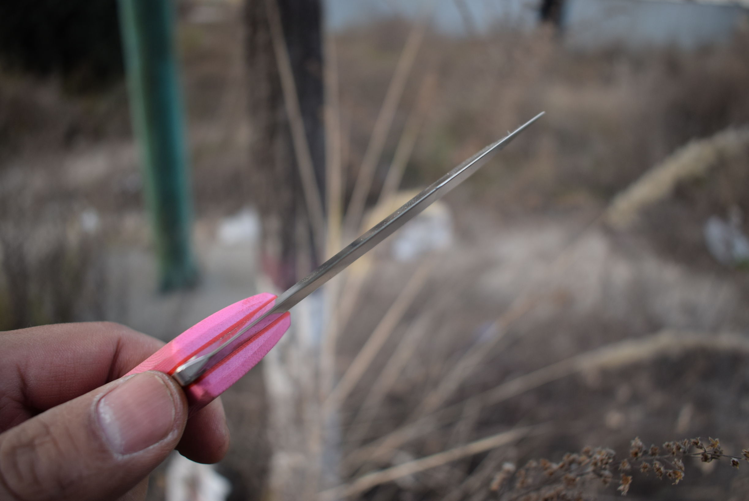 设计怪异的歪把子直刀好用吗？MAXACE军团系列直刀横向评测