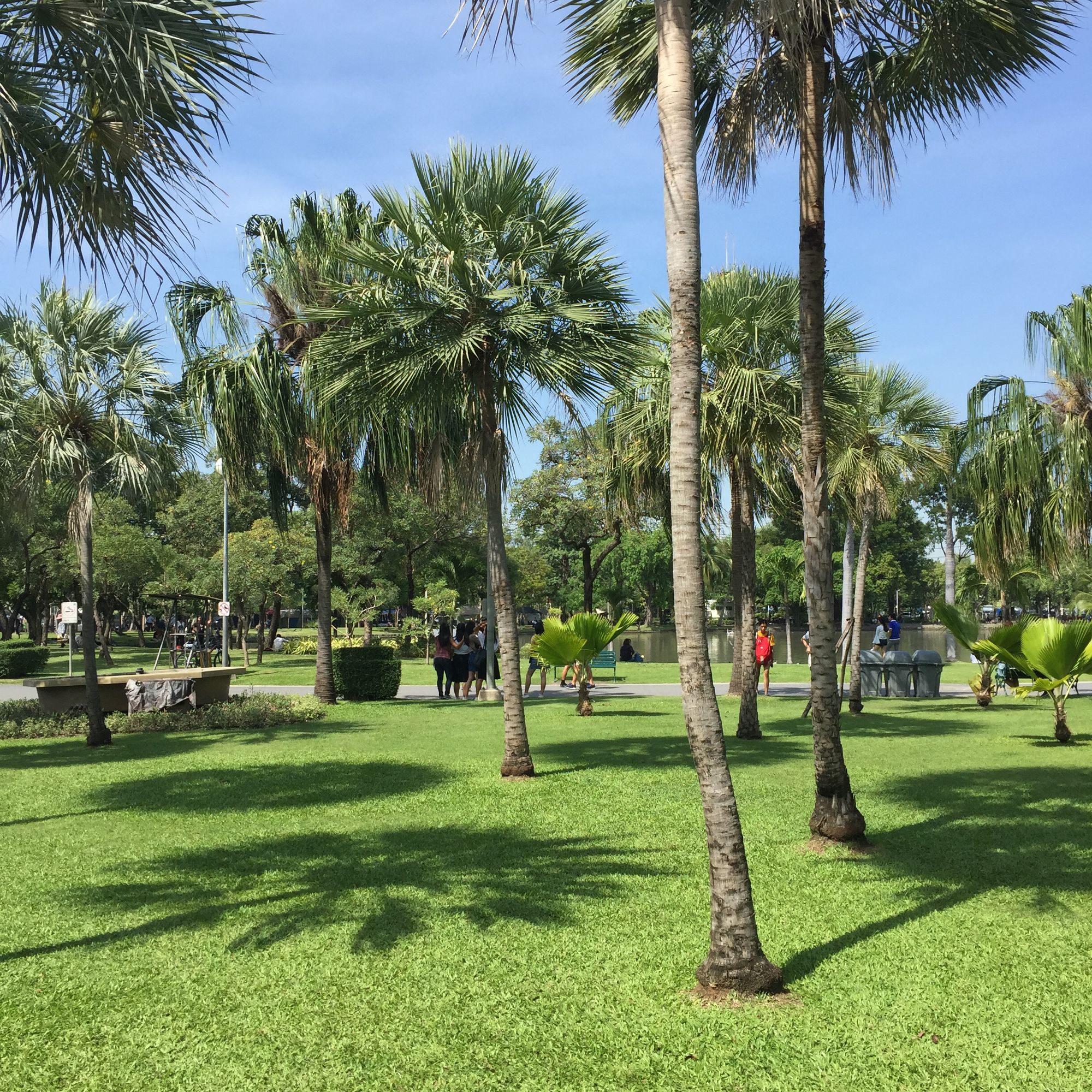 曼谷周日才开放的市集,曼谷周末市场