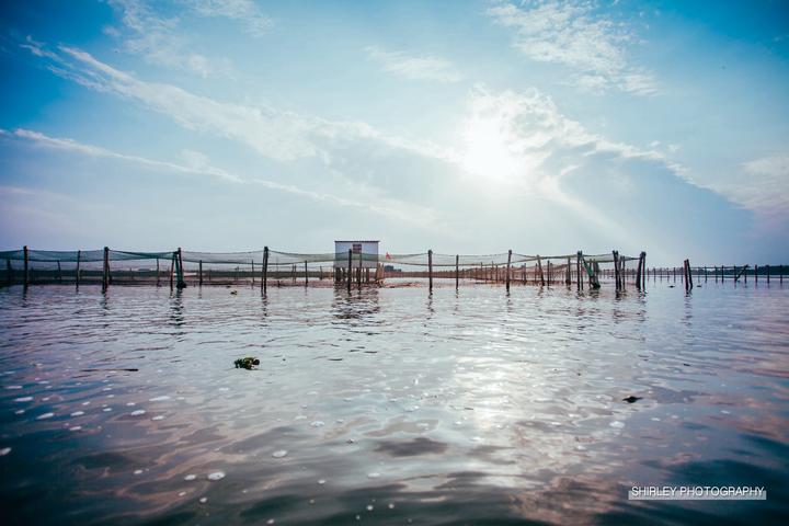 吃蟹游玩攻略,一场关于上海的旅行
