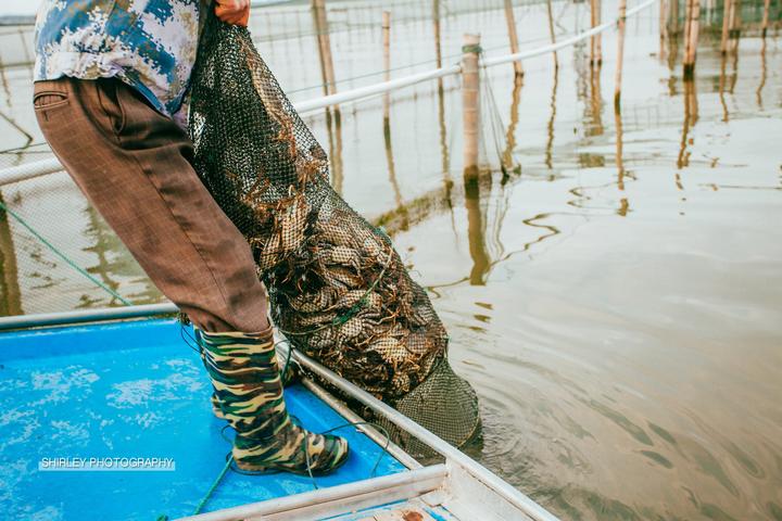 吃蟹游玩攻略,一场关于上海的旅行