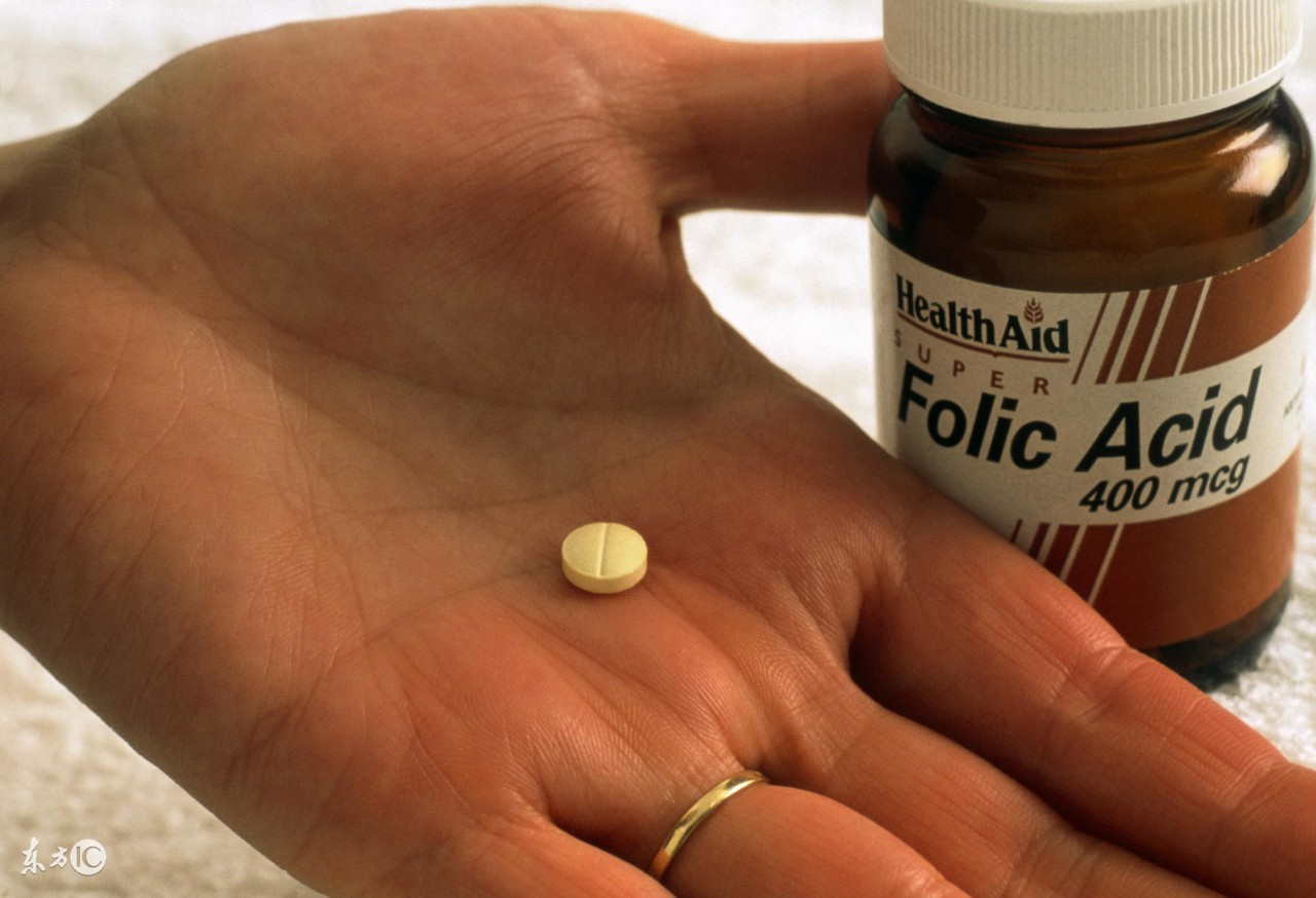 怀孕初期除了叶酸还需要补充什么,孕初期除了叶酸还要补什么
