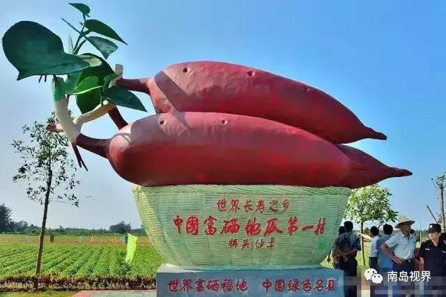 来海南带什么纪念品回去,来海南带什么回去送人