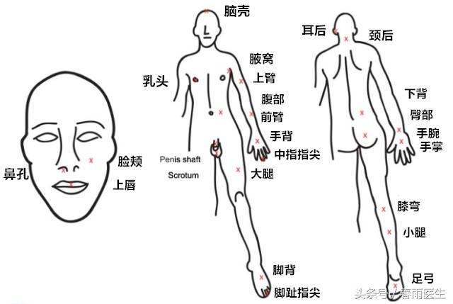 蛋疼是男性所能体会到的最疼痛的感觉吗？科学家给出了这样的答案