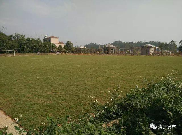 清远清新文明村,清远市文明村