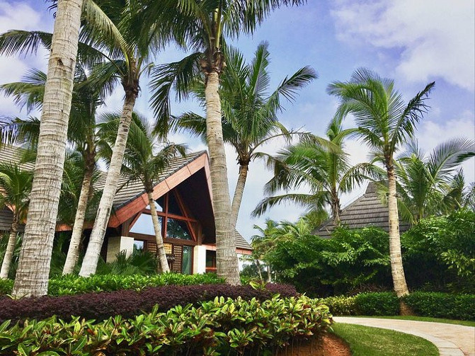 邂逅美丽椰城海口自由行攻略,海南岛自驾游摘椰子