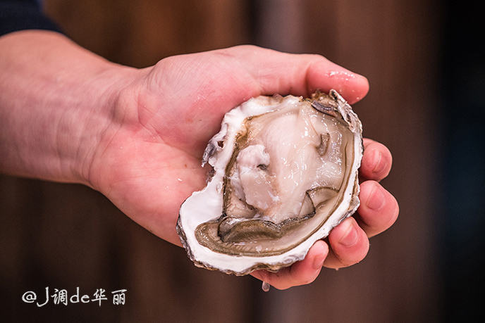 日本金泽旅游,日本金泽美景