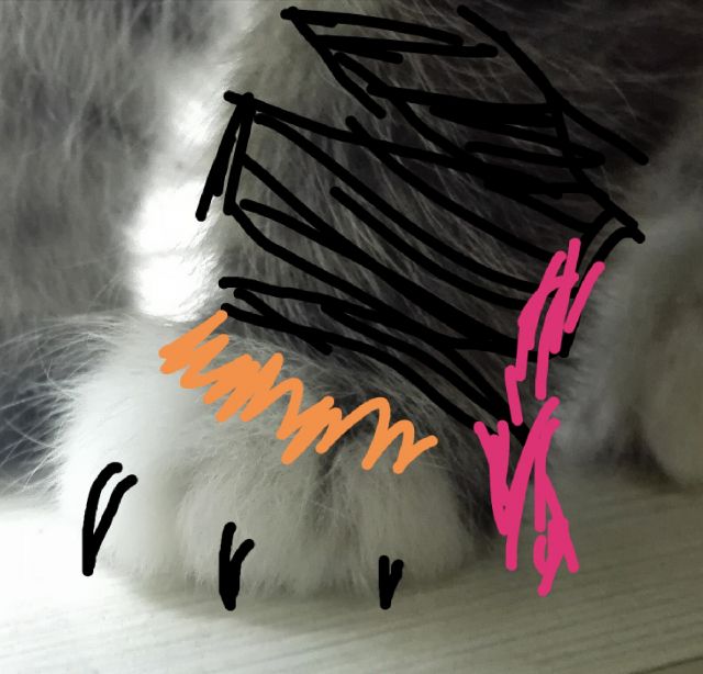 全都太有才了！NGA论坛水友集体COSPLAY魔兽世界技能图标